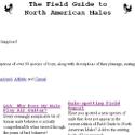 The Field Guide to North American Males