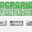 Verzegnassi