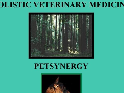 http://www.petsynergy.com/contents.html