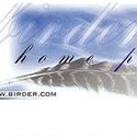 Birding on the Web