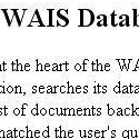 How to Search a WAIS Database