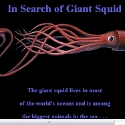 In Search of Giant Squid