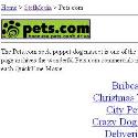 Pets.com Sock Puppet Dog