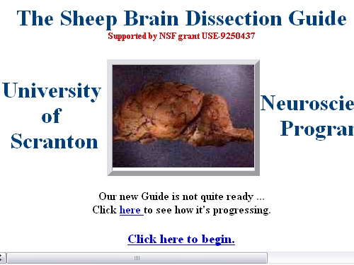 http://academic.uofs.edu/department/psych/sheep/