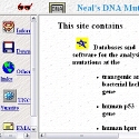 Neal’s DNA Mutation Site