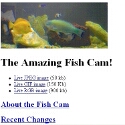 The Amazing Fish Cam!