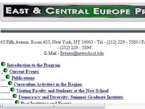 http://www.newschool.edu/centers/ecep/index.htm