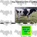 The MOO-COW CAFEteria