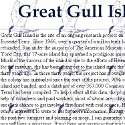 Great Gull Island